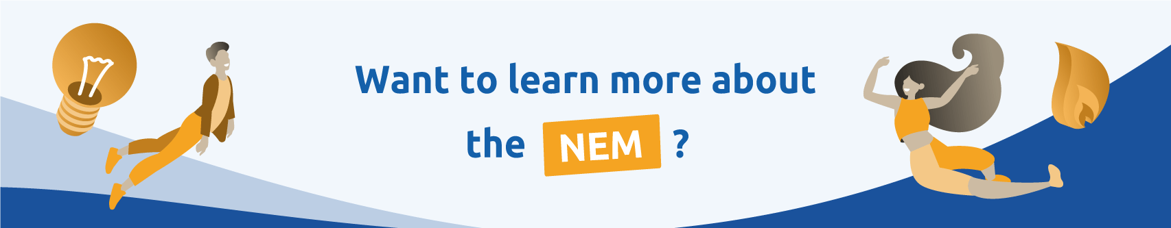 NEM