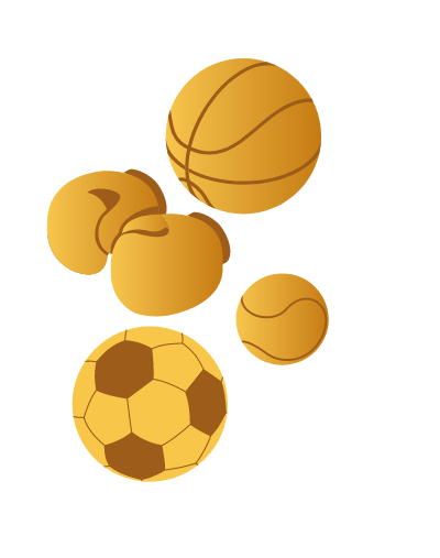 beIN Sports subscription